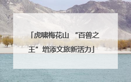 虎啸梅花山 “百兽之王”增添文旅新活力