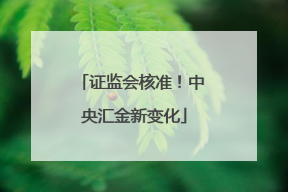 证监会核准！中央汇金新变化
