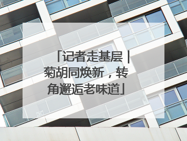 记者走基层｜菊胡同焕新，转角邂逅老味道