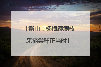 衡山：杨梅缀满枝 采摘尝鲜正当时