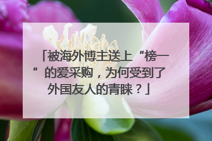 被海外博主送上“榜一”的爱采购，为何受到了外国友人的青睐？