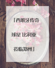 西班牙传奇球星 比利亚莅临郑州