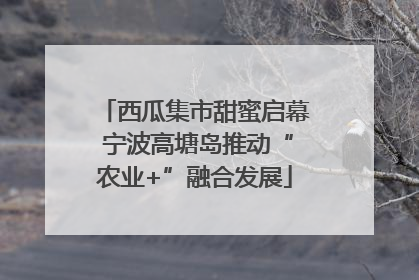 西瓜集市甜蜜启幕 宁波高塘岛推动“农业+”融合发展