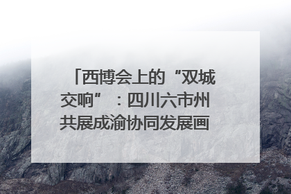 西博会上的“双城交响”：四川六市州共展成渝协同发展画卷｜西博视界