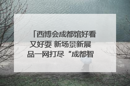 西博会成都馆好看又好耍 新场景新展品一网打尽“成都智造”｜西博视界