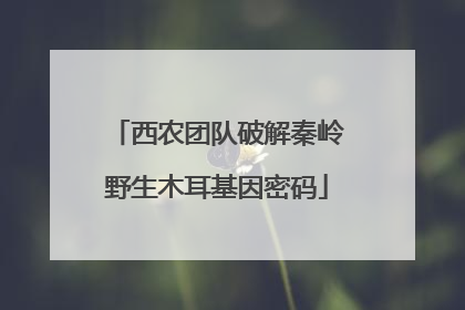 西农团队破解秦岭野生木耳基因密码