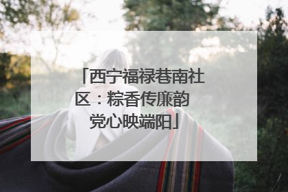 西宁福禄巷南社区：粽香传廉韵 党心映端阳