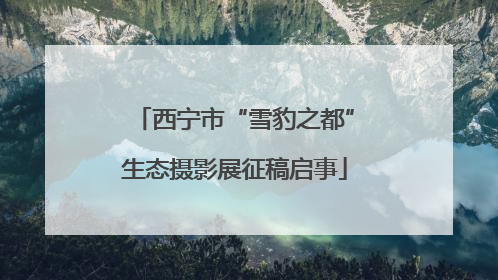 西宁市“雪豹之都”生态摄影展征稿启事