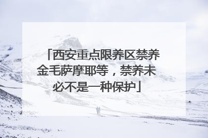 西安重点限养区禁养金毛萨摩耶等，禁养未必不是一种保护