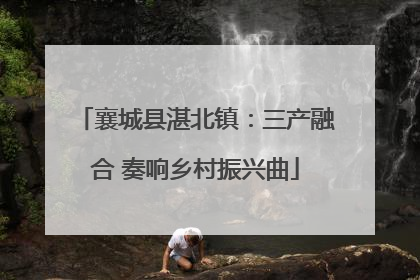 襄城县湛北镇：三产融合 奏响乡村振兴曲