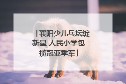 襄阳少儿乓坛绽新星 人民小学包揽冠亚季军