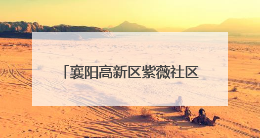 襄阳高新区紫薇社区举办“粽情邻里，手作传香”主题活动