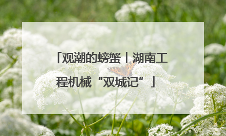 观潮的螃蟹丨湖南工程机械“双城记”