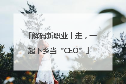 解码新职业丨走，一起下乡当“CEO”