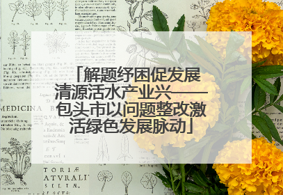 解题纾困促发展 清源活水产业兴——包头市以问题整改激活绿色发展脉动