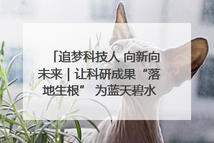 追梦科技人 向新向未来｜让科研成果“落地生根” 为蓝天碧水“保驾护航”