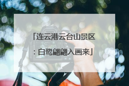 连云港云台山景区：白鹭翩翩入画来