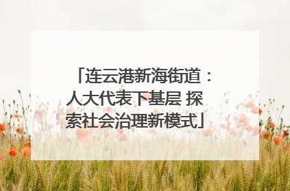 连云港新海街道：人大代表下基层 探索社会治理新模式