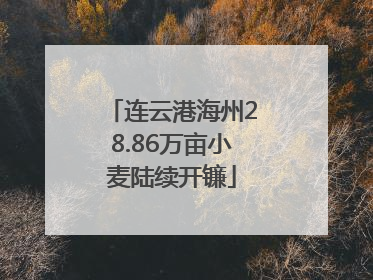 连云港海州28.86万亩小麦陆续开镰