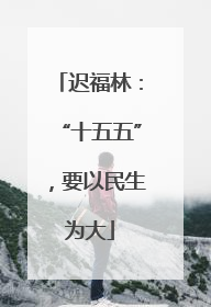迟福林：“十五五”，要以民生为大