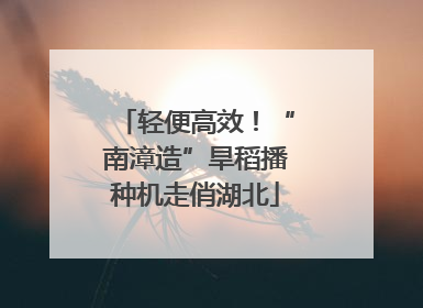 轻便高效！“南漳造”旱稻播种机走俏湖北