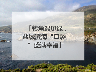转角遇见绿，盐城滨海“口袋”盛满幸福