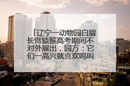 辽宁一动物园白眉长臂猿猴高考期间不对外展出，园方：它们一高兴就喜欢鸣叫，怕影响考试