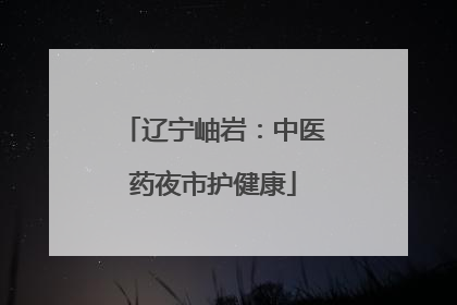 辽宁岫岩：中医药夜市护健康