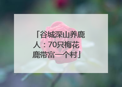谷城深山养鹿人：70只梅花鹿带富一个村