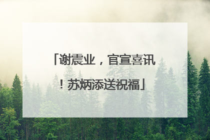 谢震业，官宣喜讯！苏炳添送祝福