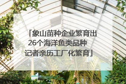 象山苗种企业繁育出26个海洋鱼类品种 记者亲历工厂化繁育