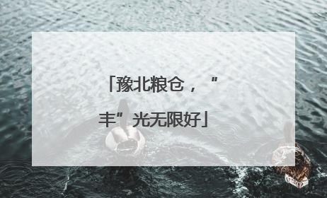 豫北粮仓，“丰”光无限好