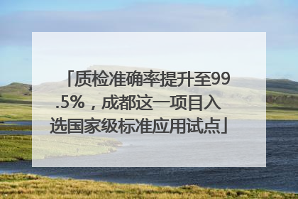 质检准确率提升至99.5%，成都这一项目入选国家级标准应用试点