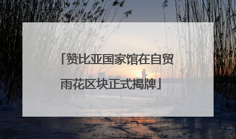 赞比亚国家馆在自贸雨花区块正式揭牌