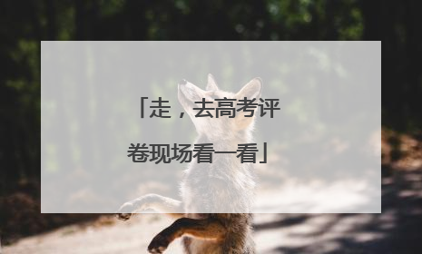 走，去高考评卷现场看一看