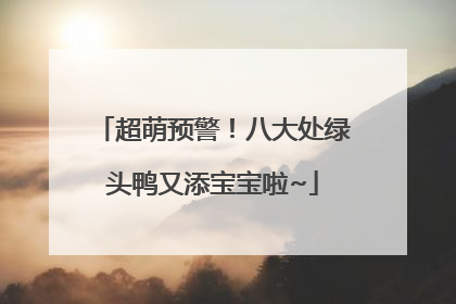 超萌预警！八大处绿头鸭又添宝宝啦~