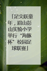 足尖跃童年，眉山彭山实验小学举行“海豚杯”校园足球联赛