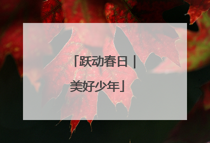 跃动春日｜美好少年