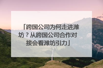 跨国公司为何走进潍坊？从跨国公司合作对接会看潍坊引力