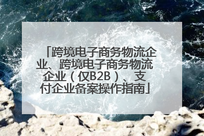 跨境电子商务物流企业、跨境电子商务物流企业（仅B2B）、支付企业备案操作指南