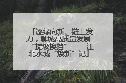 逐绿向新、链上发力，聊城高质量发展“提级换挡”——江北水城“焕新”记