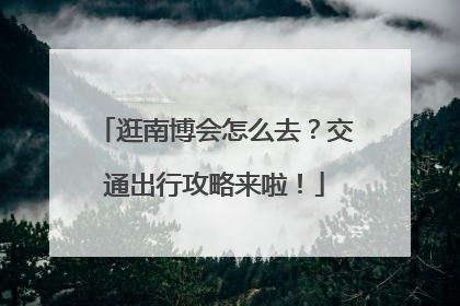 逛南博会怎么去？交通出行攻略来啦！