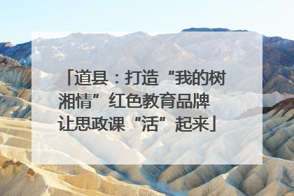 道县：打造“我的树湘情”红色教育品牌 让思政课“活”起来