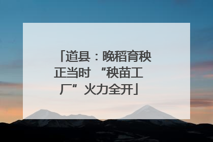 道县：晚稻育秧正当时 “秧苗工厂”火力全开
