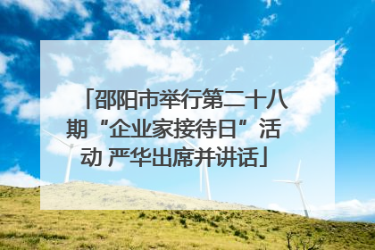邵阳市举行第二十八期“企业家接待日”活动 严华出席并讲话