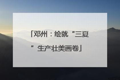 邓州：绘就“三夏”生产壮美画卷