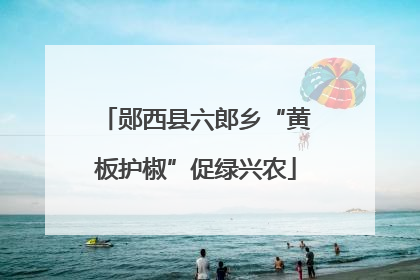 郧西县六郎乡“黄板护椒”促绿兴农