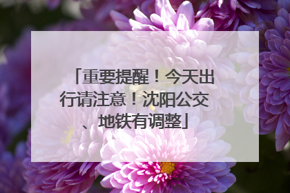 重要提醒！今天出行请注意！沈阳公交、地铁有调整