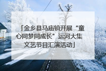 金乡县马庙镇开展“童心同梦同成长”运河大集文艺节目汇演活动