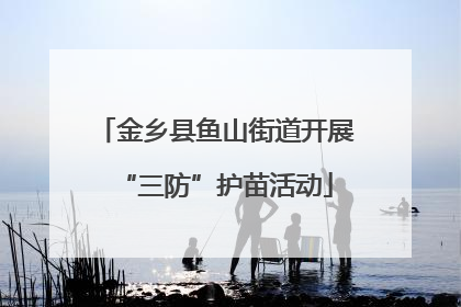 金乡县鱼山街道开展“三防”护苗活动
